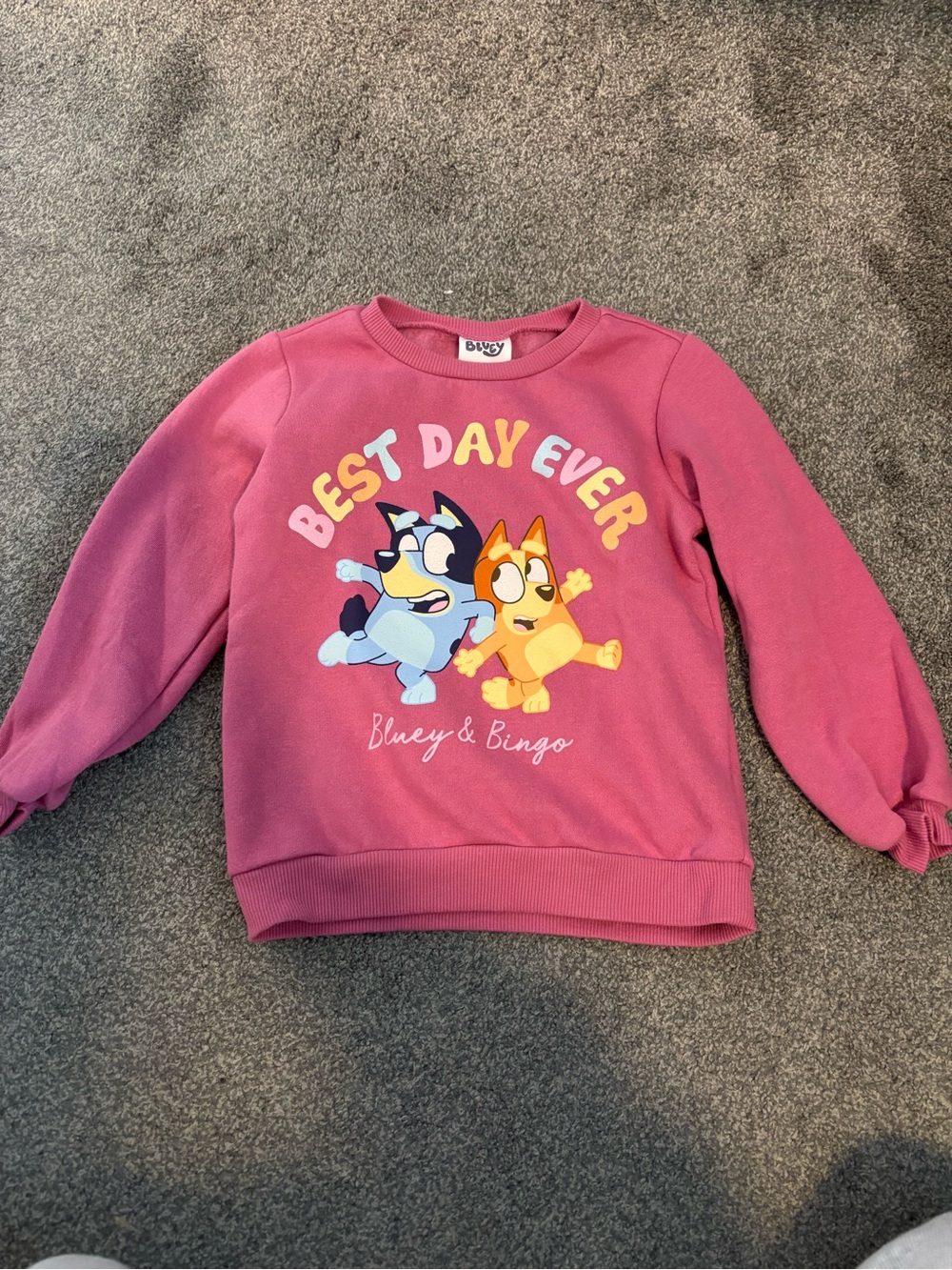 Bluey & Bingo "Best Day Ever" Pink Girls Sweatshirt